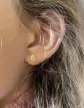 Boucles d'Oreilles Oiseau et Diamant