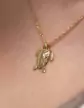 Pendentif Tortue Marine en Or