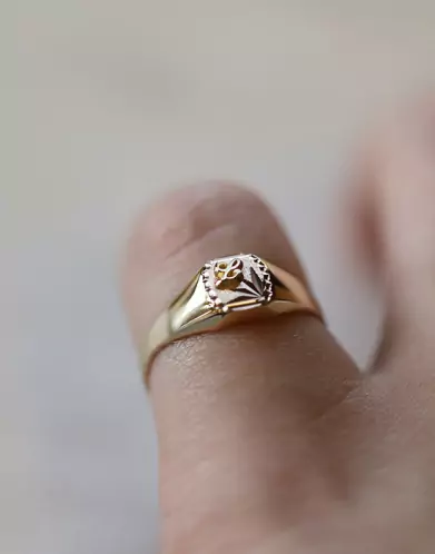 Chevalière Thérésa Brossée Étoilée Contour