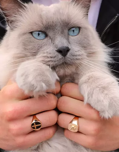 Bague Thomas Tête de Mort