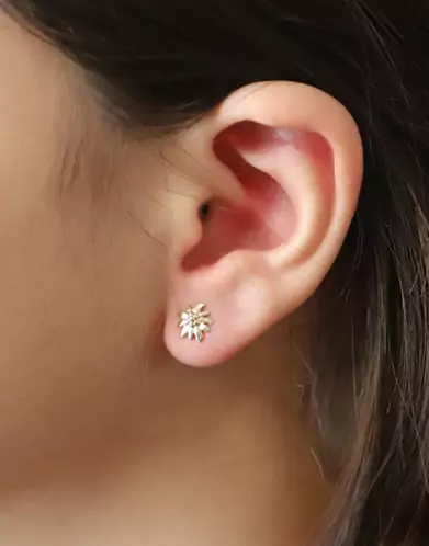 Boucles d'Oreilles Edelweiss en Or