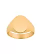 Chevalière Orphée Massive Brossée 14x10mm Blason sur-mesure