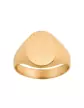 Chevalière Orphée Massive Brossée 14x11mm Blason sur-mesure