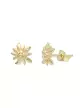 Boucles d'Oreilles Edelweiss en Or