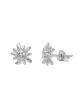 Boucles d'Oreilles Edelweiss en Or