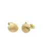 Boucles d'Oreilles Coquillage en Or