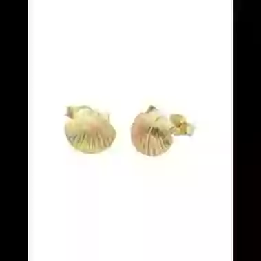 Boucles d'Oreilles Coquillage image cachée