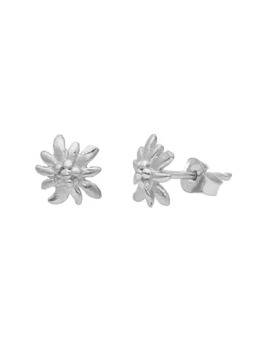 Boucles d'Oreilles Edelweiss en Or
