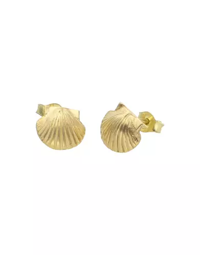 Boucles d'Oreilles Coquillage en Or