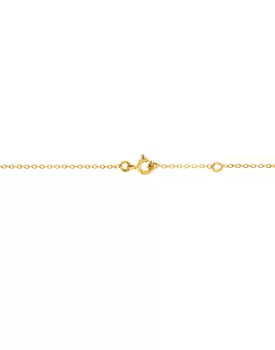 Collier Chaîne en Or Jaune 18K et Trèfle de Nacre