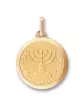 Médaille Menorah en Or Personnalisable