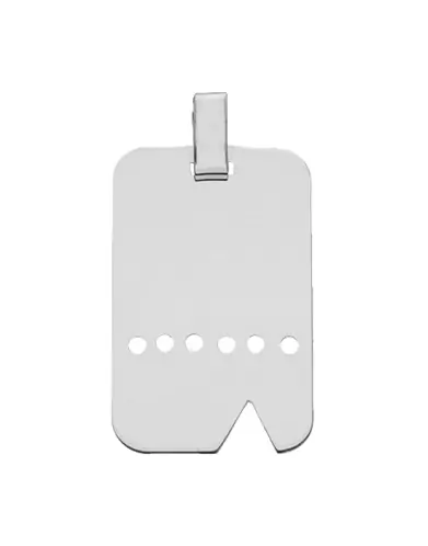 Plaque Militaire en Or