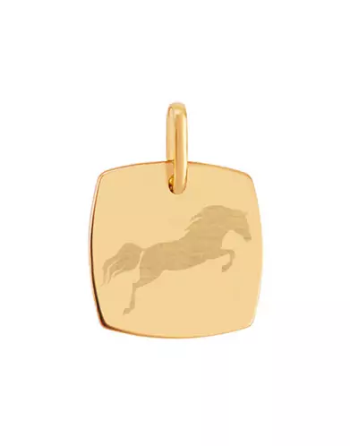 Médaille Tonneau Pré Illustrée Cheval Saut