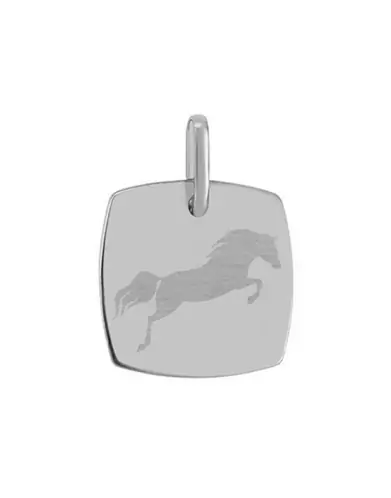 Médaille Tonneau Pré Illustrée Cheval Saut