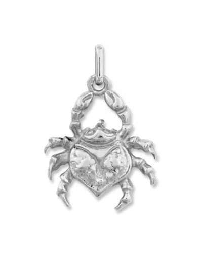Pendentif Massif Zodiaque Cancer Argent