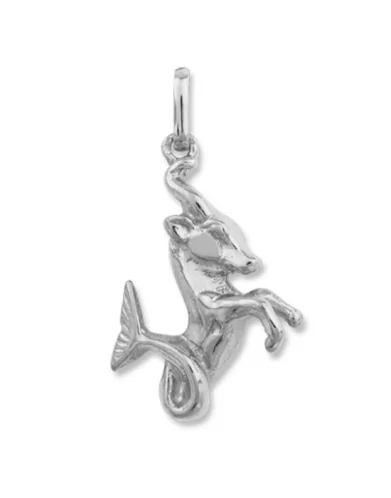Pendentif Massif Zodiaque Capricorne Argent