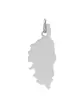 Pendentif Corse en Or Poli Personnalisable