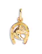Pendentif Tête et Fer à Cheval en Or