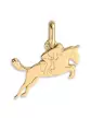 Pendentif Cheval CSO en Or