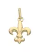 Pendentif Fleur de Lys Élégante en Or