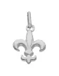 Pendentif Fleur de Lys Élégante en Or