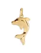 Pendentif Dauphin Mignon en Or