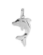Pendentif Dauphin Mignon en Or