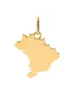 Pendentif Brésil en Or Poli Personnalisable