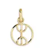 Pendentif Signe Berbère Le Yaz en Or – Petit Modèle