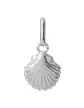 Pendentif Coquillage en Or