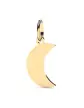 Pendentif Petite Lune en Or