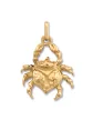 Pendentif Massif Zodiaque Cancer Or