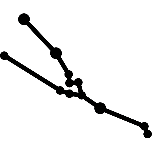 Icone constellation-11.png