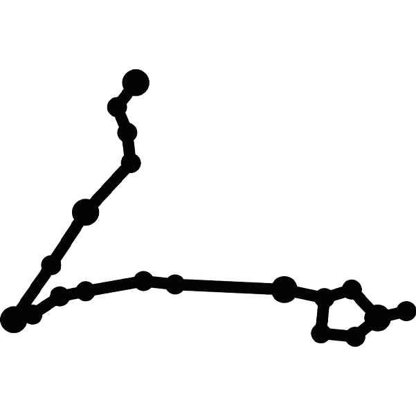 Icone constellation-01.png